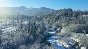 Câmera desce sobre a montanha rio cercado de uma coberto de neve floresta. video