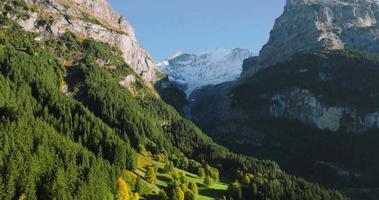 Aerial view of the beautiful Swiss nature in Grindelwald valley in Switzerland video