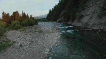 aereo Visualizza di montagna ruscello o fiume fluente nel il verde valle. Polonia video