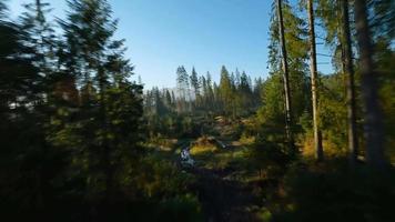 snel vlucht over- een herfst berg landschap, stroom, bomen Bij zonsopkomst video