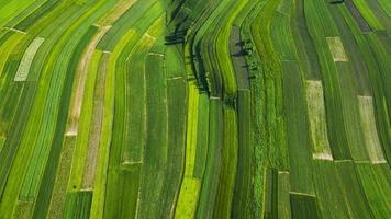 aérien vue de décoratif ornements de diverse vert des champs. suloszowa, Pologne video