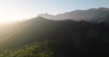 Beautiful mountain landscape in summer, forest and rocks. Zakopane video