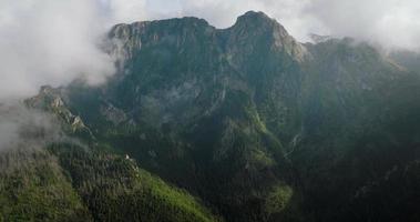 lindo montanha panorama dentro verão, nublado céu, floresta e pedras. zakopane video