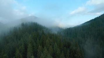 aéreo ver de hermosa montaña paisaje. niebla sube terminado el montaña pendientes video