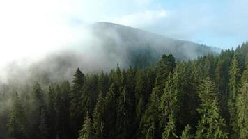 antenn se av skön berg landskap. dimma stiger över de berg sluttningar video