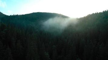 Aerial view of beautiful mountain landscape. Fog rises over the mountain slopes video