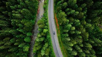 parte superior abajo ver de carros conducción a lo largo el la carretera entre el conífero bosque video