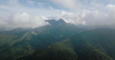 lindo montanha panorama dentro verão, nublado céu, floresta e pedras. zakopane video