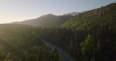 lindo montanha panorama dentro verão, floresta e pedras. zakopane video