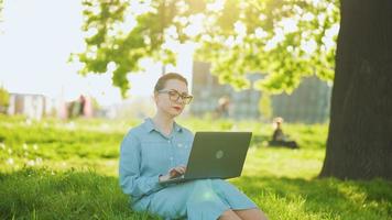 occupato attraente donna Lavorando su il il computer portatile mentre seduta su erba nel città parco video