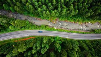 superiore giù Visualizza di auto guida lungo il strada tra il conifero foresta video