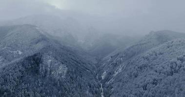 voar sobre uma fabuloso coberto de neve montanha panorama. zakopane, Polônia video