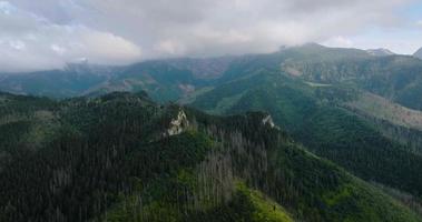 hermosa montaña paisaje en verano, nublado cielo, bosque y rocas zakopane video