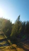 verticale video. veloce volo al di sopra di un autunno montagna paesaggio, flusso, alberi video