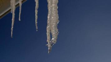 Spring drops falls down from long crystal melting icicles hanging down before clear blue sky on bright sunny thaw day. The concept of the beginning of spring, the end of winter, thaw. photo