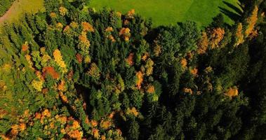 aereo Visualizza di il bellissimo autunno svizzero natura, Svizzera video
