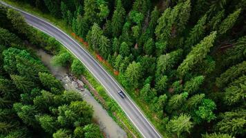 oben Nieder Aussicht von Autos Fahren entlang das Straße unter das Nadelbaum Wald video