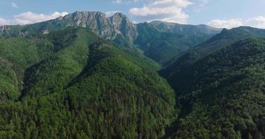 hermosa montaña paisaje en verano, bosque y rocas zakopane video