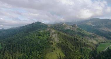 Beautiful mountain landscape in summer, cloudy sky and forest. Zakopane video