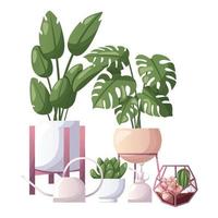 Collection of houseplants with water can. Indoor potted house plant in flowerpot. Home garden, greenhouse, florarium, gardening, plant lover. Domestic store poster, banner, cover, card.