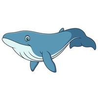 Cartoon illustration of cute blue whale swimming vector