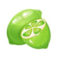 Cartoon style lime and lime slice. vector