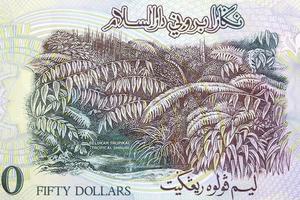 Tropical Shrub from Brunei money photo