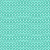 Square box white abstract lines art geometric pattern mystery boxes. Isometric cubes shape pastel green vector