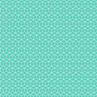 Square box white abstract lines art geometric pattern mystery boxes. Isometric cubes shape pastel green vector