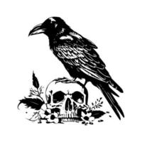 Striking and ominous Hand drawn line art illustration of a crow in a skull head, showcasing a fusion of the natural and the macabre vector