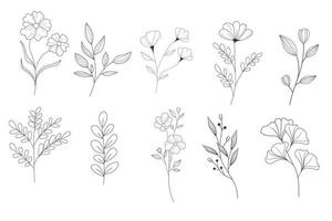 leaf and flower hand drawn line art collection vector