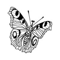 negro tinta mano dibujado monarca mariposa vector