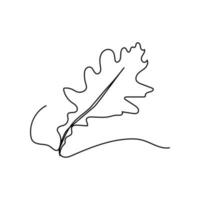 design vector illustration one line continuous oak leaf