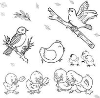 Vector illustration of birds, ducks, and chicken line art. Suitable for coloring book, coloring pages, etc