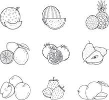 Line art of various fruits. Vector illustration for coloring pages, coloring book, etc