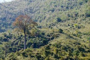 Rural landscape in Asia photo