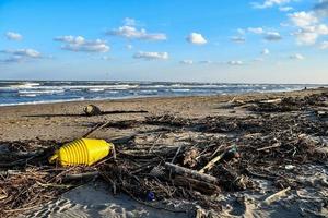 Branches on the beach photo