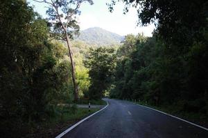 la carretera en el árbol bosque bosque con Dom ligero rayo en el medio foto