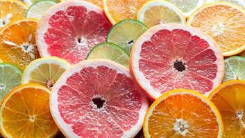 Slices of citrus fruits photo