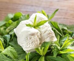 Vanilla ice cream in mint photo