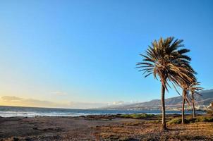 View of the beach photo