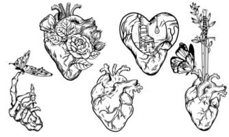 Set of human heart. Vector illustration. Engraved hand drawn.