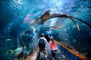 People in the aquarium Tunnel- Spain 2022 photo