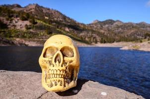 el plastico cráneo en el rocas foto
