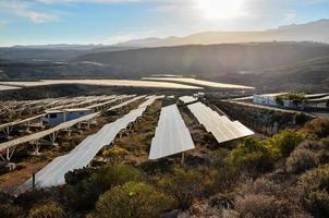 Rows of solar panels photo