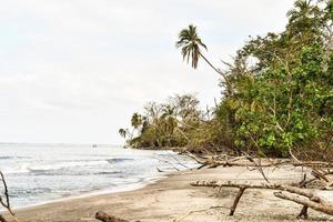 Scenic coastal view photo