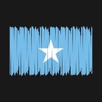 Somalia Flag Brush vector