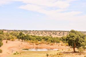 Scenic rural landscape photo