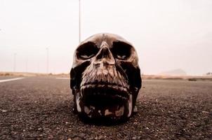 Skull on the road photo