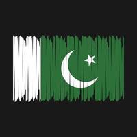 cepillo de bandera de pakistán vector